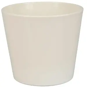 Obal Primule 440 12 cm krémový obraz