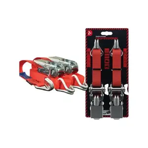 Upínací popruh s ráčnou Professional 900 kg, 5 m x 25 mm - sada 2 ks obraz