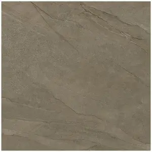 Halley Mud 100/100/2 obraz