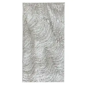 Koberec Petra 0, 8/1, 5 Oz1311a-Dbd-Sivr-Lbei obraz