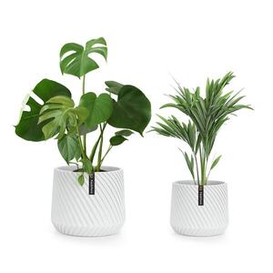 Fox & Fern Heusden, sada 2 květináčů, polyston, vhodný na rostliny, ruční výroba, 3D vzhled obraz