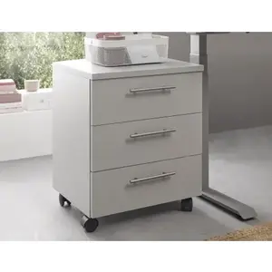 Úložný kontejner na kolečkách Ben, světle šedý obraz