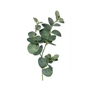 Umělá rostlina Eukalyptus 64 cm, zelená obraz