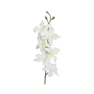Umělá květina Orchidej 64 cm, krémová obraz