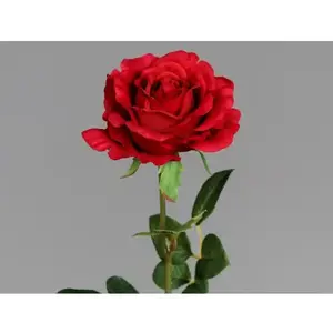 Umělá květina Růže 58 cm, červená obraz