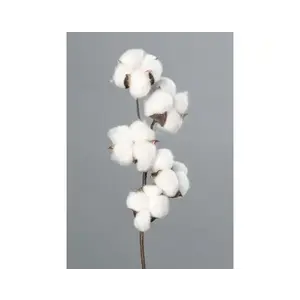 Umělá květina Bavlník 49 cm, bílá obraz