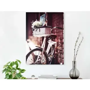 Obraz na plátně Kolo s košíkem, 50x70 cm obraz