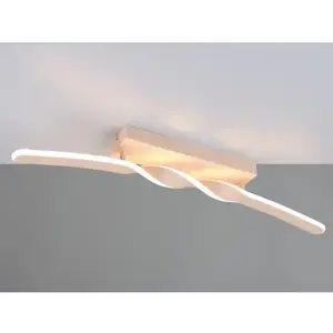Stropní/nástěnné osvětlení LED Ginko, písková obraz