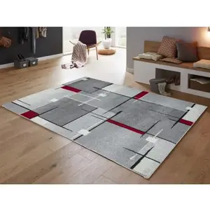 Koberec Thales 80x140 cm, šedo-červený obraz