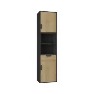 Regál/skříňka Nemo, dub/grafit obraz