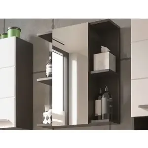 Koupelnová zrcadlová skříňka Gloss, antracit obraz