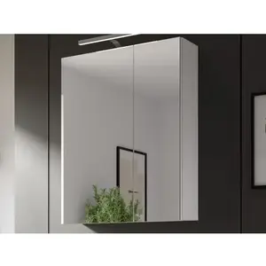 Koupelnová zrcadlová skříňka Vira, 60 cm, bílá obraz