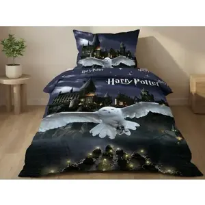 Dětské povlečení Harry Potter obraz