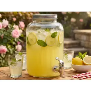 Dávkovač na nápoje 4 l, žebrované sklo obraz