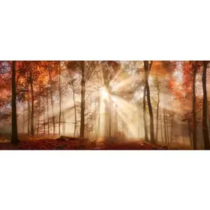 Panoramatický obraz na plátně Podzimní les, 140x60 cm obraz