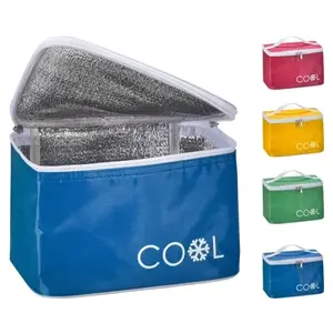 Chladící taška Cool 4 l, mix barev obraz