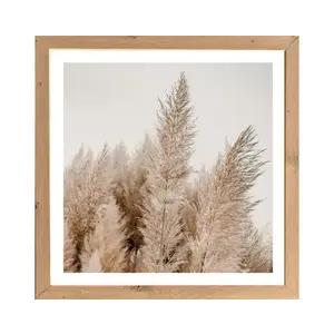 Rámovaný obraz Pampas 35x35 cm, dub artisan obraz