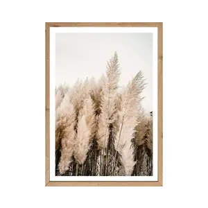 Rámovaný obraz Pampas 50x70 cm, dub artisan obraz