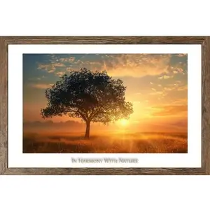 Rámovaný obraz In harmony with nature 70x50 cm, dub tmavý obraz