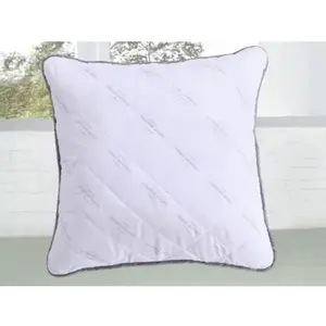 Polštář Silver protect, 70x90 cm obraz