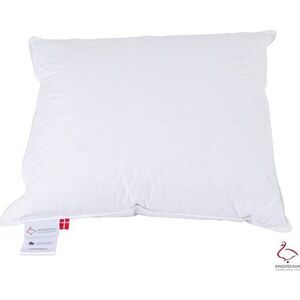 Polštář s péřovou výplní 70x80 cm Snow Queen – Ringsted Dun obraz