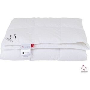 Letní přikrývka s péřovou výplní 200x220 cm Snow Queen – Ringsted Dun obraz
