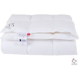 Celoroční přikrývka s péřovou výplní 200x140 cm Snow Queen – Ringsted Dun obraz