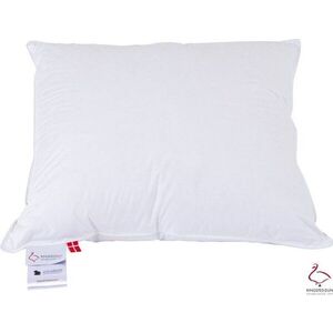 Polštář s péřovou výplní 70x80 cm Snow Queen – Ringsted Dun obraz