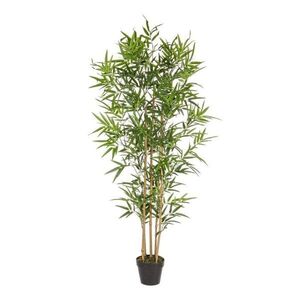 Umělý bambus (výška 155 cm) Bamboo – Bizzotto obraz