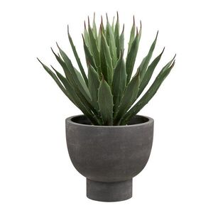 Umělá květina (výška 41 cm) Agave – House Nordic obraz