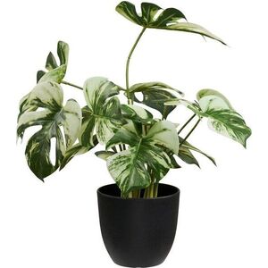 Umělá květina (výška 41 cm) Monstera – House Nordic obraz
