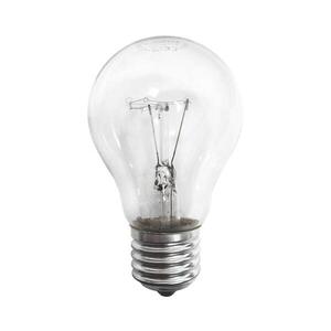 Průmyslová žárovka E27/100W/230V 2700K 036 0000134 obraz