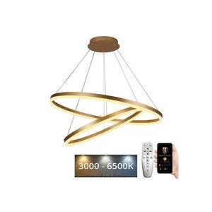 LED Stmívatelný lustr na lanku LED/100W/230V 3000-6500K + dálkové ovládání J4311/G obraz