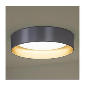 - LED Stropní svítidlo ROLLER LED/24W/230V pr. 45 cm stříbrná/zlatá 605311 obraz