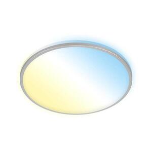 Briloner 3065-014 - LED Stm stropní svítidlo IVY 42W/230V Wi-Fi Tuya pr.49 cm+DO 3065-014 obraz