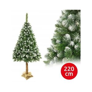 Vánoční stromek na kmenu 220 cm borovice 5907780195023 obraz