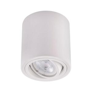 Ledvance - Bodové svítidlo TUBA 1xGU10/50W/230V 4058075517837 obraz