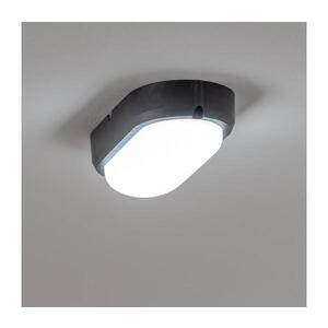 BRILAGI - LED Stropní průmyslové svítidlo SIMA LED/12W/230V IP65 černá PD-S30124-00 obraz