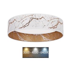 BRILAGI - LED Stropní svítidlo VELVET LED/24W/230V 3000/4000/6400K bílá/zlatá obraz