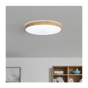 BRILAGI - LED Stmívatelné stropní svítidlo PINE LED/24W/230V + dálkové ovládání BRLD400-24W/LED/SD obraz