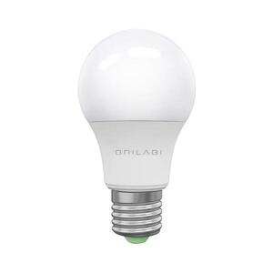 LED Žárovka ECOLINE A60 E27/15W/230V 6500K - BRILAGI ZD-EA6015-65 obraz