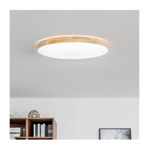 BRILAGI - LED Stmívatelné stropní svítidlo PINE LED/60W/230V + dálkové ovládání BRLD500-60W/LED/SD obraz