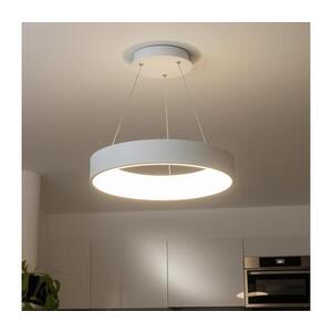 BRILAGI - LED Stmívatelný lustr na lanku FALCON LED/80W/230V 3000-6500K + DO BRKL02R-80W/LED-BI obraz