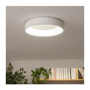 BRILAGI - LED Stmívatelné stropní svítidlo FALCON LED/40W/230V 3000-6500K + DO BRKL01R-40W/LED-BI obraz