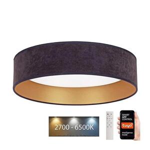 BRILAGI - LED Stmívatelné svítidlo VELVET SMART LED/24W/230V Wi-Fi Tuya + DO obraz