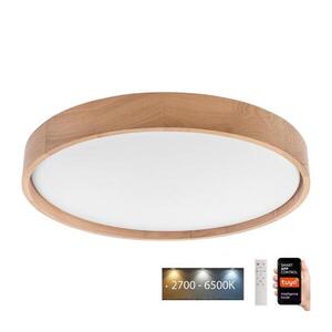 BRILAGI - LED Stropní svítidlo MANAROLA SMART LED/36W/230V + DO Tuya obraz