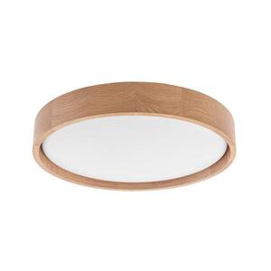 BRILAGI - LED Stropní svítidlo MANAROLA SIMPLE LED/24W/230V 3000K obraz
