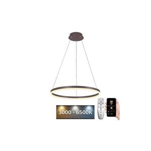 BRILAGI - LED Stmívatelný lustr na lanku CIRCLE LED/42W/230V 3000-6500K hnědá+DO BG-J4308/BR obraz