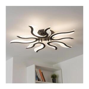 BRILAGI - LED Stmívatelný přisazený lustr TWIST LED/65W/230V 3000-6500K černá+DO BG-J3317/B obraz