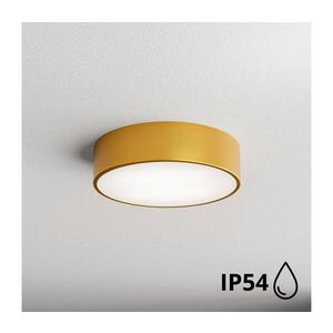 BRILAGI - Koupelnové stropní svítidlo CLARE 2xE27/24W/230V pr. 30 cm IP54 zlatá 8590828607014 obraz